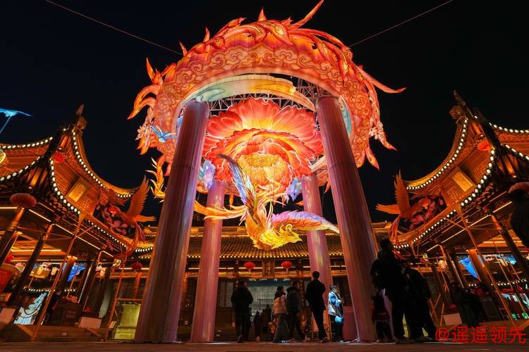 江苏南京：灯彩亮 迎新年