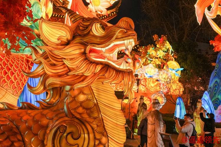 江苏南京：灯彩亮 迎新年