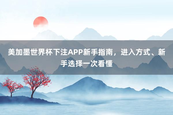 美加墨世界杯下注APP新手指南，进入方式、新手选择一次看懂