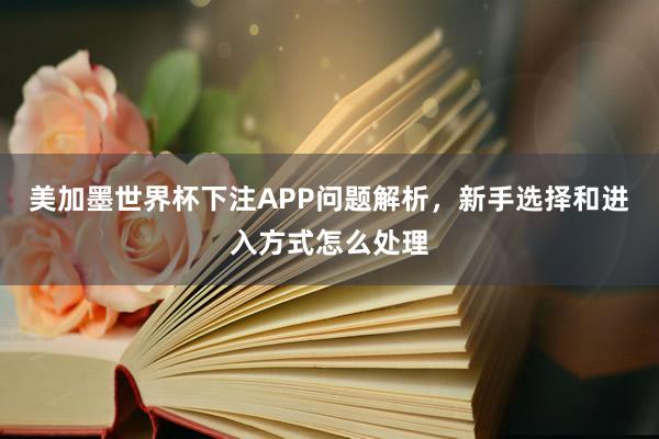 美加墨世界杯下注APP问题解析，新手选择和进入方式怎么处理